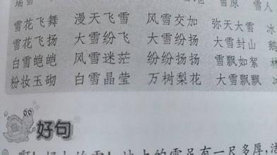 关于雪的谚语