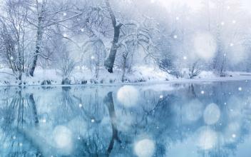 关于雪景的寓言