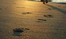 美好，终究与我们环环相扣，只不过换个方式呈现