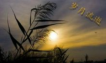 描写岁月流逝的成语