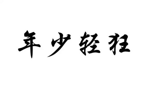 年轻而轻浮的句子