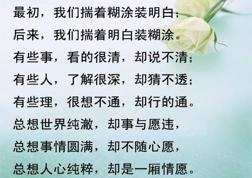 描写年少轻狂的句子