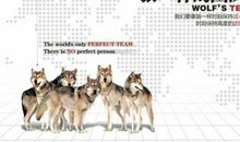 关于销售狼队的口号