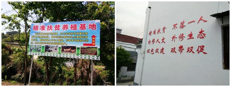 宣传口号，健康脱贫