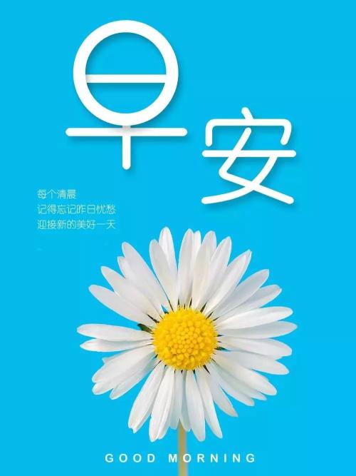 朋友圈早上好