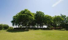 描写风和日丽的句子