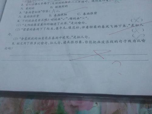 关于皱纹的寓言