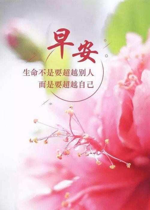 谈论最新版《大全2020》的正能量