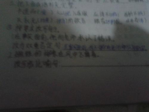 有风的寓言