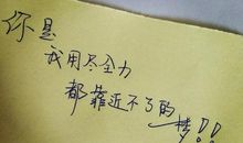 形容友情爱情的句子