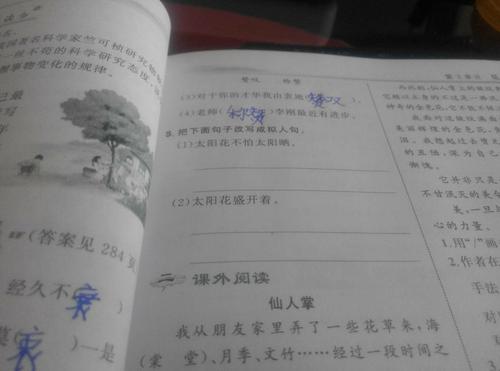 太阳的拟人化