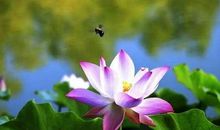 很有禅意的句子