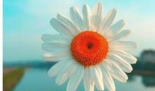 形容干劲十足的句子