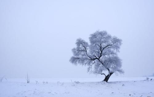 寓言描述大雪