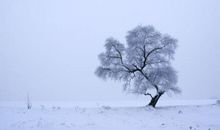 描写大雪的比喻句