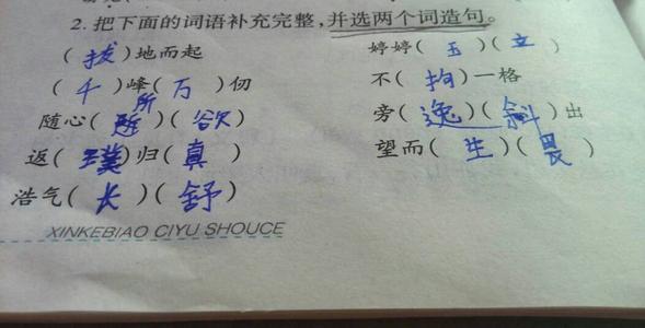 伍兹一句话