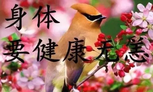 6月6日的祝福