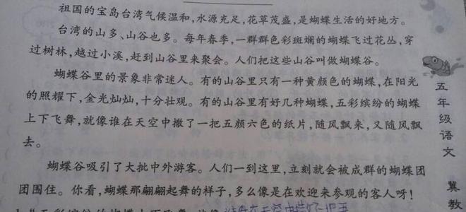 夏季拟人化