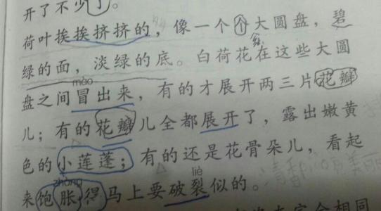 生活的平行寓言