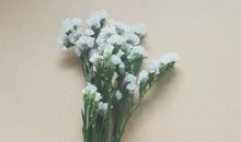 描写见面开心的句子 写初次见面开心的文艺句子