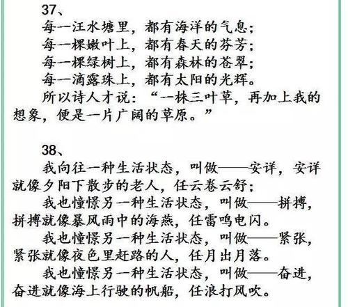 平行句子语言