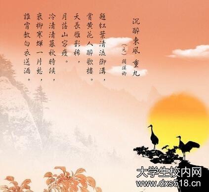 给新生的问候