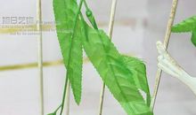 有关叶子的比喻句