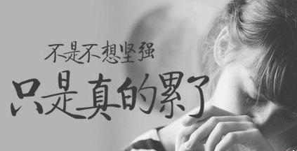漫长的情感交流