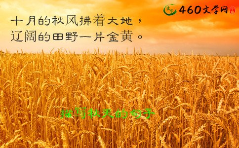秋天来了