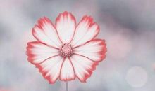 不要错过机会的句子