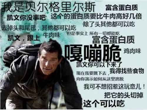 贝尔行情