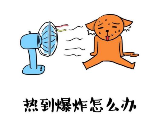 朋友的片刻有趣