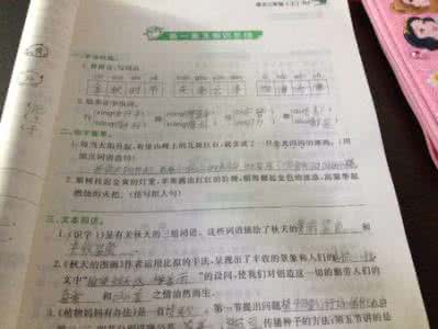 绵羊拟人化