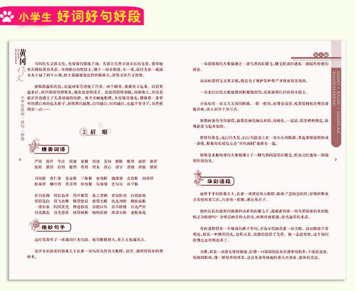 三年级写好单词和句子