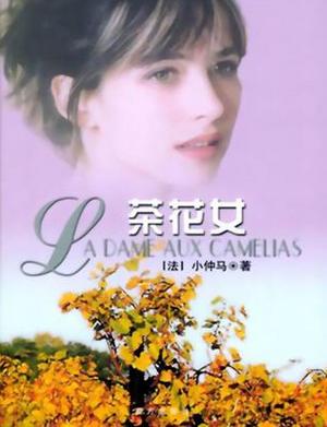 茶花经典线
