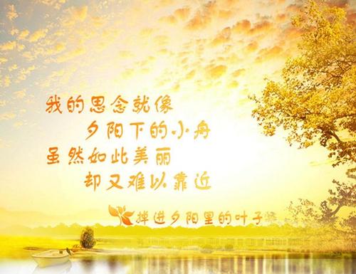 安慰想家的句子
