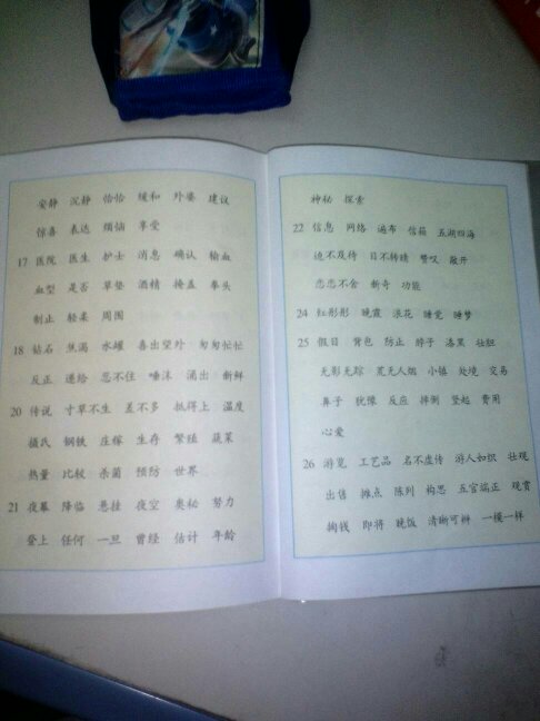 热心的