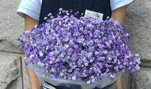 女神过生日祝福语