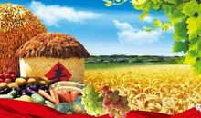 描写麦子的比喻句