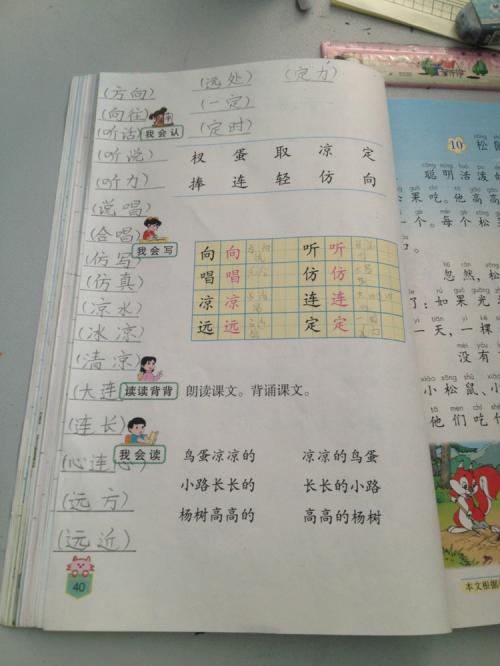 关于鸟类的谚语