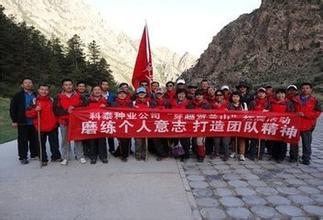 公司标语口号