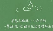 思念造句