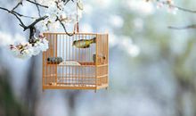 唯美的句子和图片大全:宿命之所以存在,只因为有人太无奈