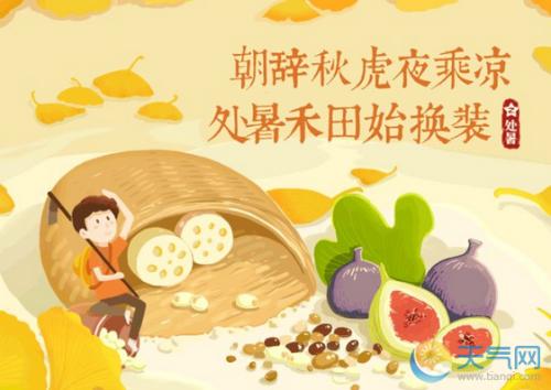 与鸟有关的谚语