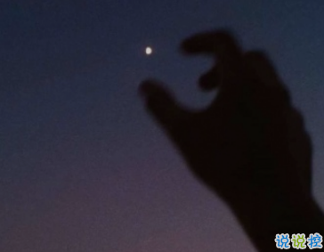 午夜句子