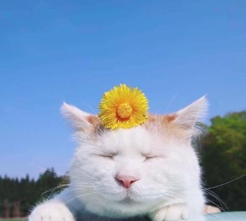 5月1日朋友圈的句子
