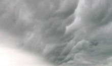 描写海燕的比喻句