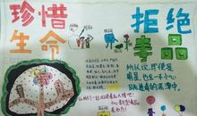 关于健康的名言谚语