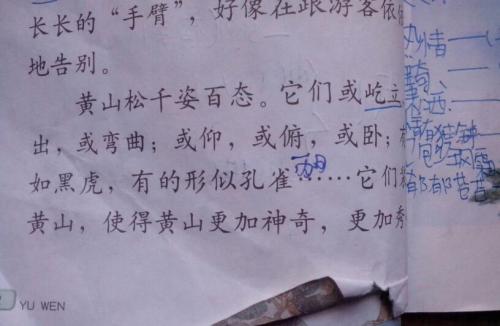 句子中的想法