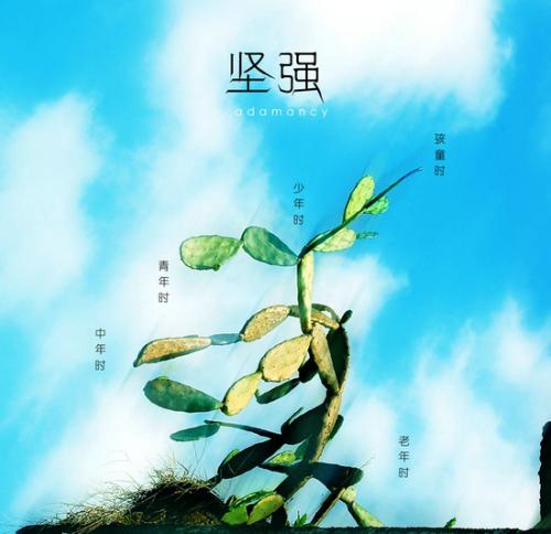 关于坚强的寓言